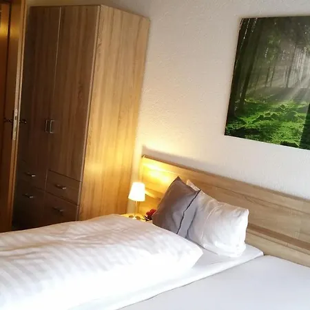 Hotel Seelbacher Hof *
